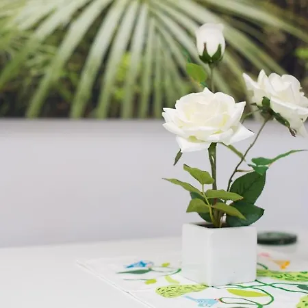 Appartamento Hércules *